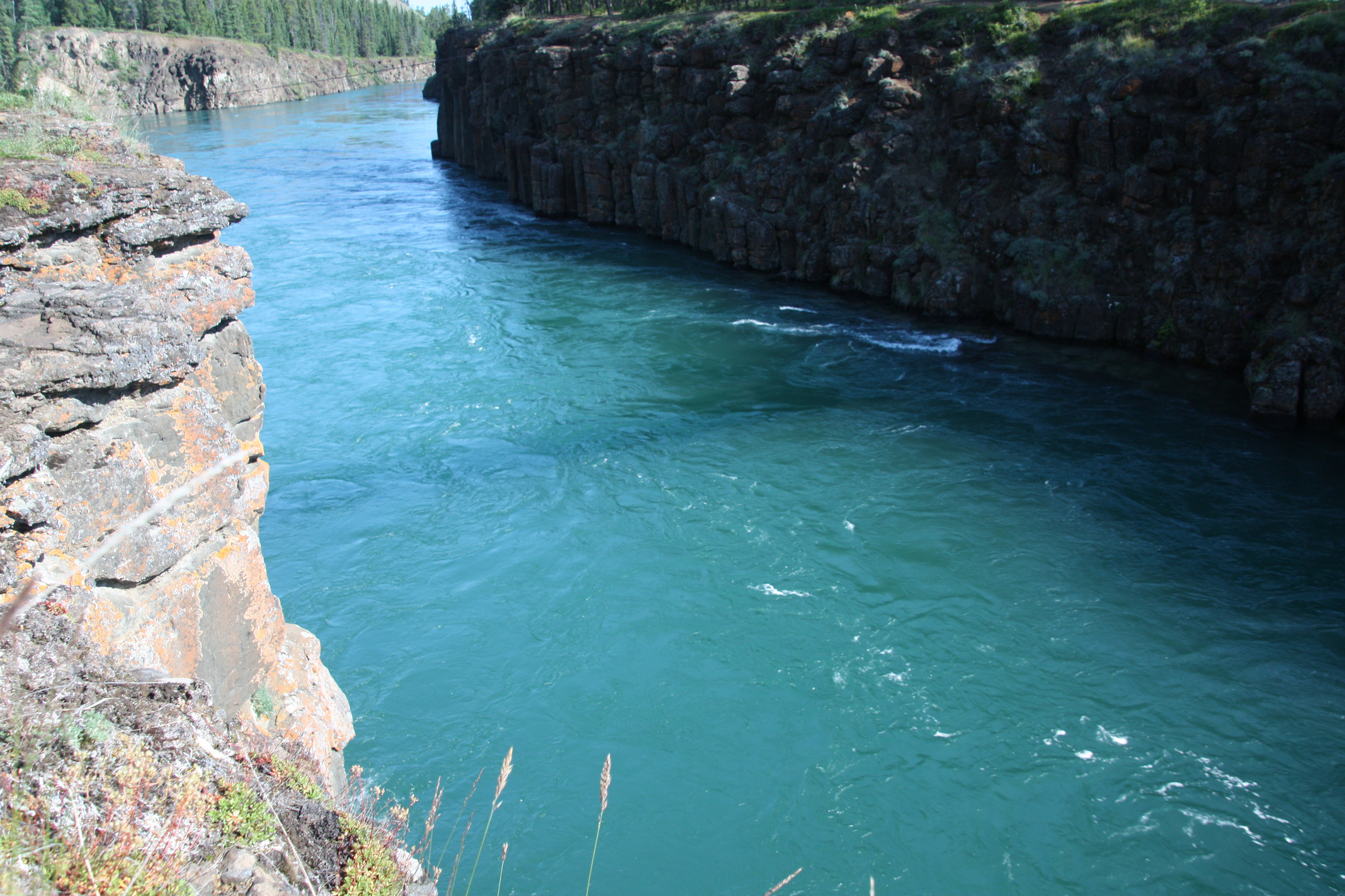 Yukon River - Whitehorse, Yukon