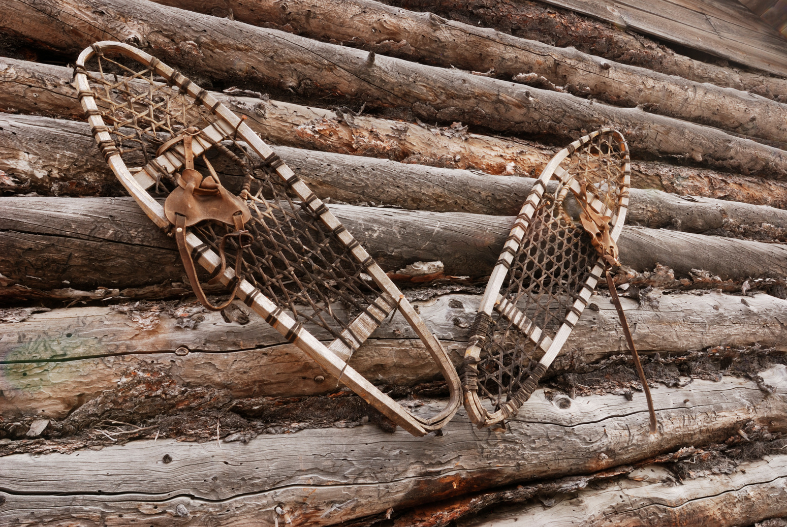 Antique Snow Shoes, Yellowknife.